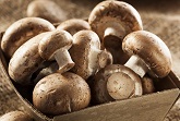 Mushrooms