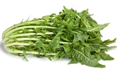Puntarelle (Greens)