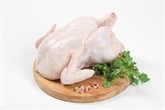 Dartagnan Organic Chicken
