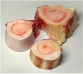Bone With Marrow