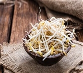 Bean Sprouts