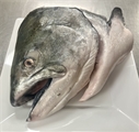 Fish Head