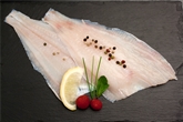 Bluefish Fillet