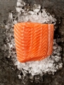 Wild troll King Salmon