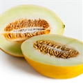 Canary Melon