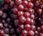 Cotton Candy Grapes