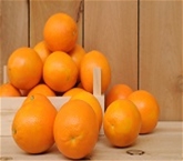 Oranges Navel Large