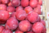 Nectarines