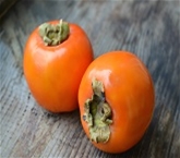 Persimmons Hachiya