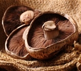 Mushrooms Portobello Sliced A&V