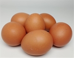A&V Organic Grade A Large Brown Eggs