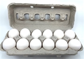 A&V Extra  Large White Local Cage Free Eggs
