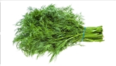 A&V Fresh Dill (1oz)