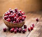 Organic Cranberries (12oz)