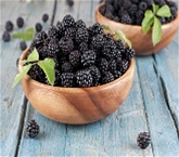 Driscoll's Organic Blackberries