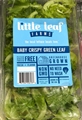 Little Leaf Baby Crispy Green  Leaf (4oz)