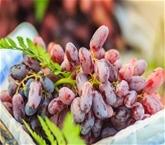 Moon Grapes