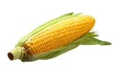 Corn Fresh Organic