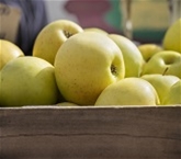 Golden Delicious Apples, Organic