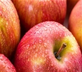 Organic Fuji Apples