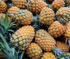 Organic Pineapple