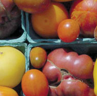 Heirloom Tomatoes 