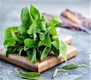 A&amp;V Sage