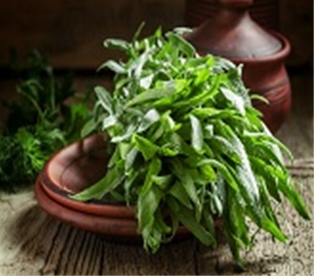 Tarragon A&amp;V