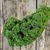 KALE