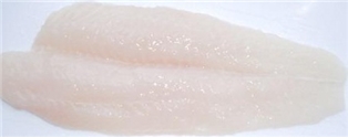 Branzino Fillet