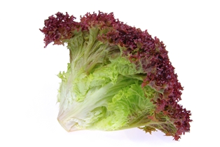 LOCAL Organic Red Leaf Lettuce