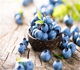 Organic Blueberries 6OZ