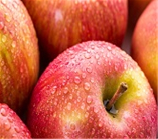 Fuji Apples
