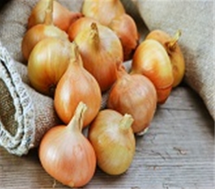 Organic Yellow Onions