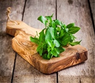 Basil Leaves A&amp;V