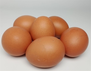 A&amp;V Organic Grade A Large Brown Eggs