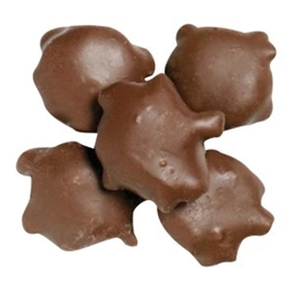 Milk Chocolate Caramel Pecan Clusters (8oz)