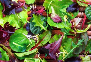 Spring Mix with Herb