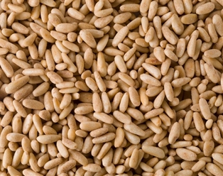 AURORA ORGANIC PINE NUTS (4OZ)