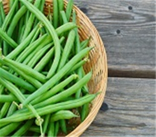 Organic Green Beans (12 oz.)
