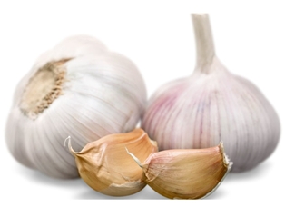 Garlic Organic