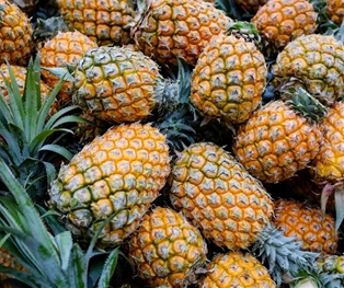 Organic Pineapple